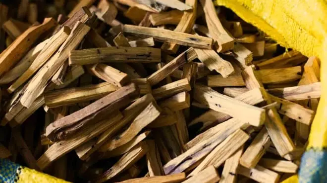 Palo Santo Sticks