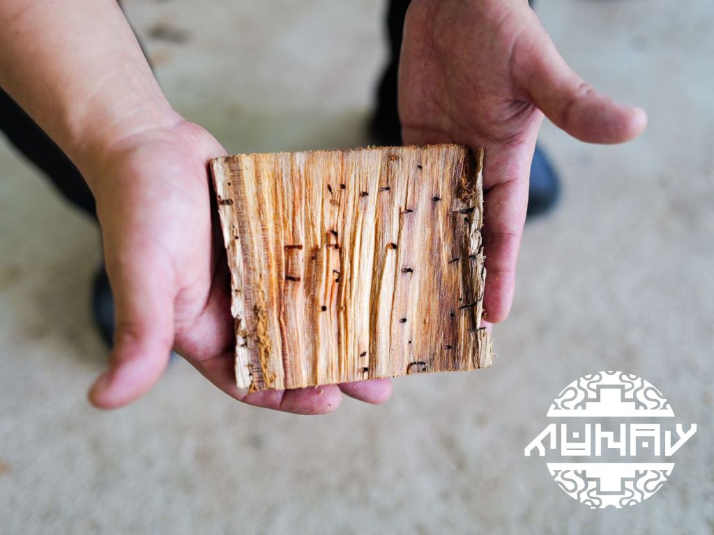 Naturally Marked Palo Santo Wood